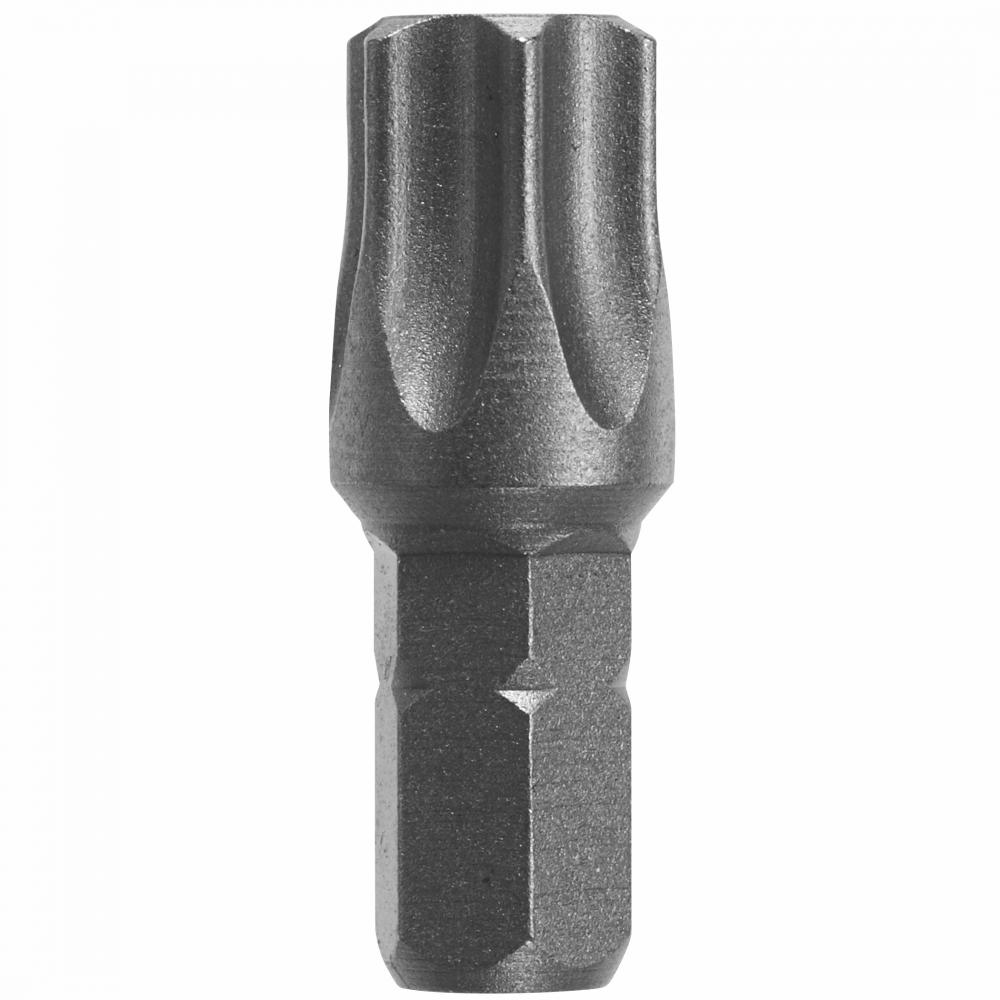 1-1/4 In. Torx Insert Bit, T55 Poi<span class=' ItemWarning' style='display:block;'>Item is usually in stock, but we&#39;ll be in touch if there&#39;s a problem<br /></span>
