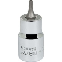 Gray Tools T610T - 3/8" Drive Standard Length Chrome Finish, T10 Torx Head Socket, Tamper Resistant