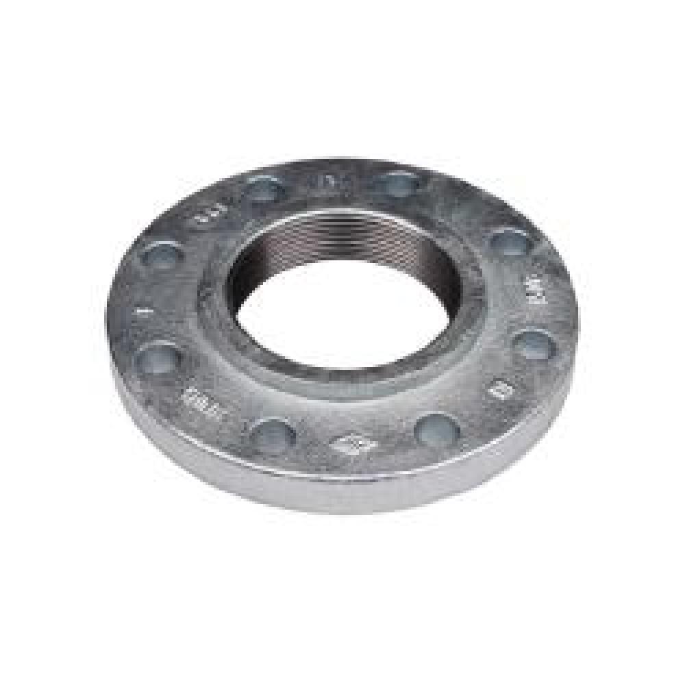 FLANGE COMPANION REDUCING 4IN THD 8<span class=' ItemWarning' style='display:block;'>Item is usually in stock, but we&#39;ll be in touch if there&#39;s a problem<br /></span>