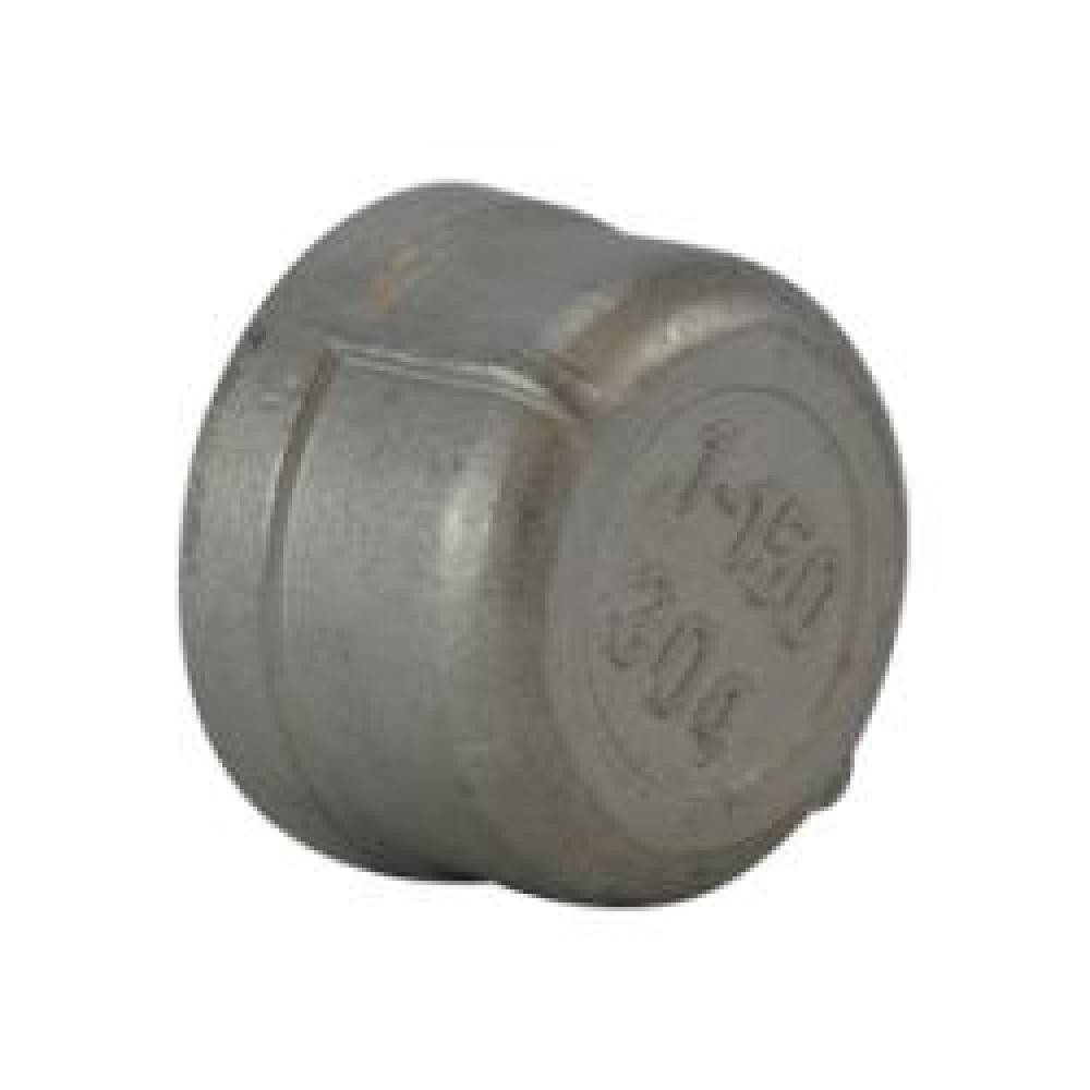CAP 2IN FPT SST 150LB 2-11-1/2<span class=' ItemWarning' style='display:block;'>Item is usually in stock, but we&#39;ll be in touch if there&#39;s a problem<br /></span>