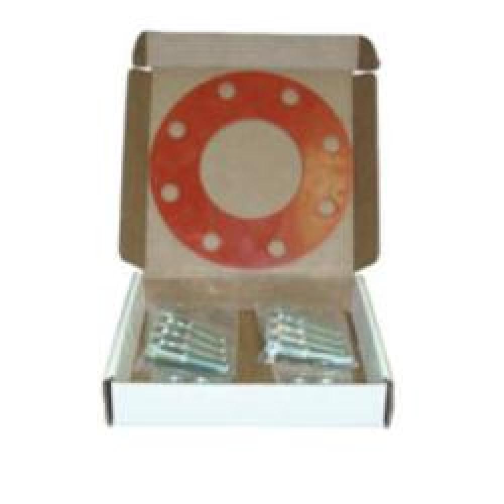 SET GSKT AND BOLT 4IN 150PSI 304 SST/RBR<span class=' ItemWarning' style='display:block;'>Item is usually in stock, but we&#39;ll be in touch if there&#39;s a problem<br /></span>