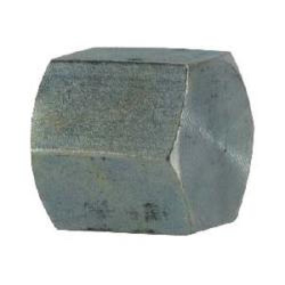 CAP PIPE HEX 1/4IN FNPT SST 1/4-18 3/4IN<span class=' ItemWarning' style='display:block;'>Item is usually in stock, but we&#39;ll be in touch if there&#39;s a problem<br /></span>