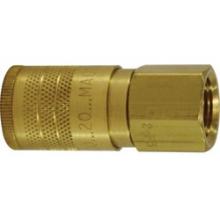 Buchanan 28584 - COUPLER FEM ARO210 1/4 BODY 1/4 FPT BRS