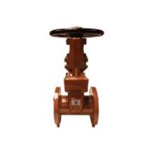 Buchanan 9610NYCF25 - VALVE G SEATED RESIL 2-1/2IN 300PSI SST