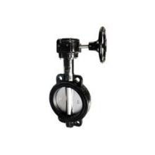 Buchanan 9650G2.5SE - VALVE BTFL 2-1/2IN FLANGELESS EPDM SST