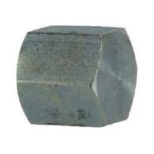 Buchanan SS5406-C-04 - CAP PIPE HEX 1/4IN FNPT SST 1/4-18 3/4IN