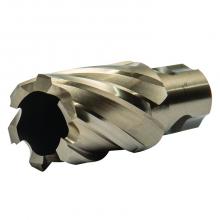 Walter Surface 05E103 - 1-3/16"X1" DEPTH SST CORECUT UNIV. SHANK