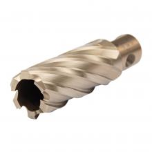 Walter Surface 05A400 - 1"X2 SST CORECUT