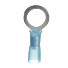 3M 7000133389 - 3M™ Scotchlok™ Ring Tongue Terminal