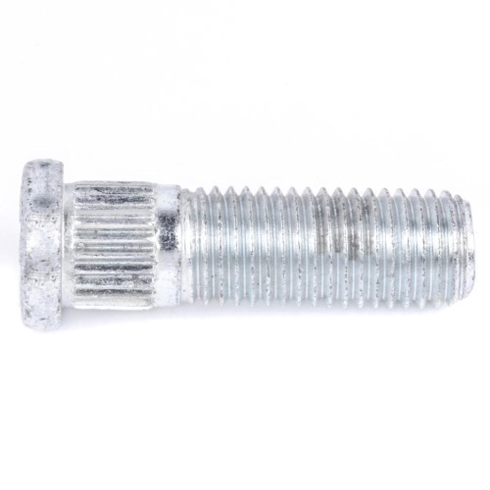#211 Clear Dome Light Bulb (12.8V x 0.97 Amp) - 6 pc<span class=' ItemWarning' style='display:block;'>Item is usually in stock, but we&#39;ll be in touch if there&#39;s a problem<br /></span>