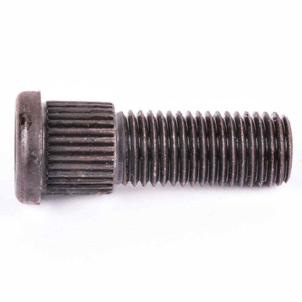 #922 Clear Heavy-Duty Bulb (12.8V x 0.98-Amp x 12.5W) - 12 pc<span class=' ItemWarning' style='display:block;'>Item is usually in stock, but we&#39;ll be in touch if there&#39;s a problem<br /></span>