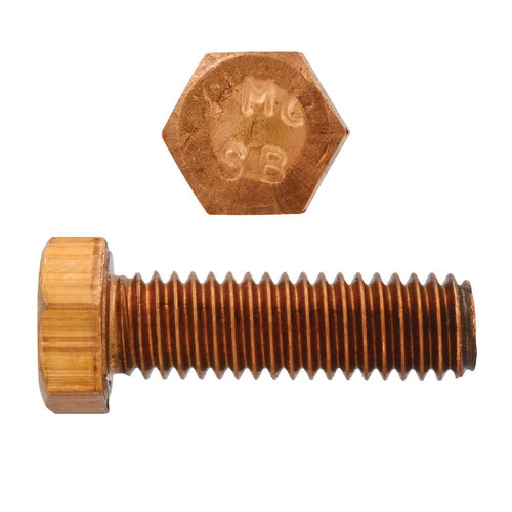 Nylon Hex Bolts (5/16&#34;-18 x 1&#34;) - 10 pc<span class=' ItemWarning' style='display:block;'>Item is usually in stock, but we&#39;ll be in touch if there&#39;s a problem<br /></span>