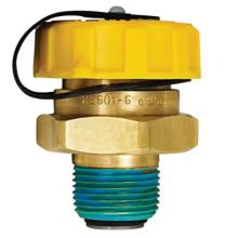 Paulin 66.1122 - 3/4" MNPT Double Back Checker Valve