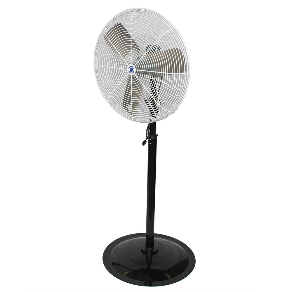 24 in. OSHA Compliant Pedestal Fan<span class=' ItemWarning' style='display:block;'>Item is usually in stock, but we&#39;ll be in touch if there&#39;s a problem<br /></span>