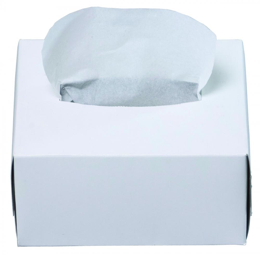 5inx 8in Tissue, 300/box, 60 boxes/case<span class=' ItemWarning' style='display:block;'>Item is usually in stock, but we&#39;ll be in touch if there&#39;s a problem<br /></span>