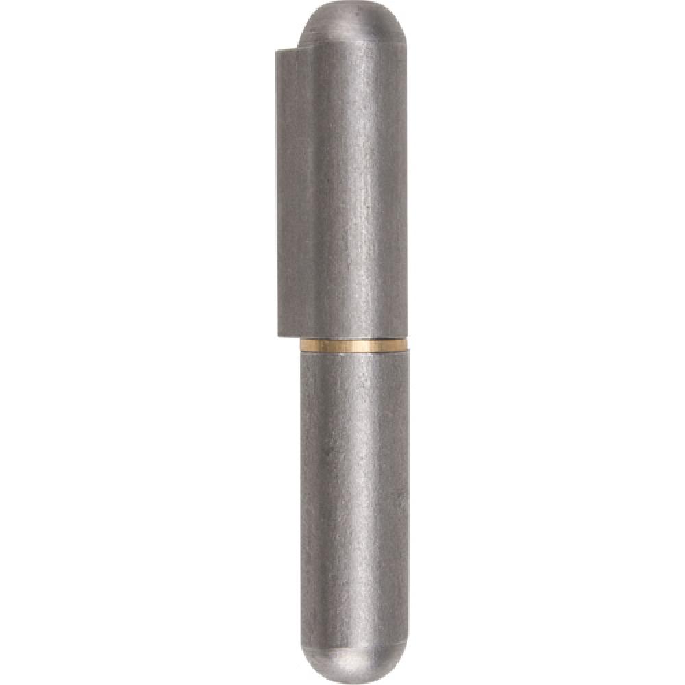 Weld-On Hinge<span class=' ItemWarning' style='display:block;'>Item is usually in stock, but we&#39;ll be in touch if there&#39;s a problem<br /></span>