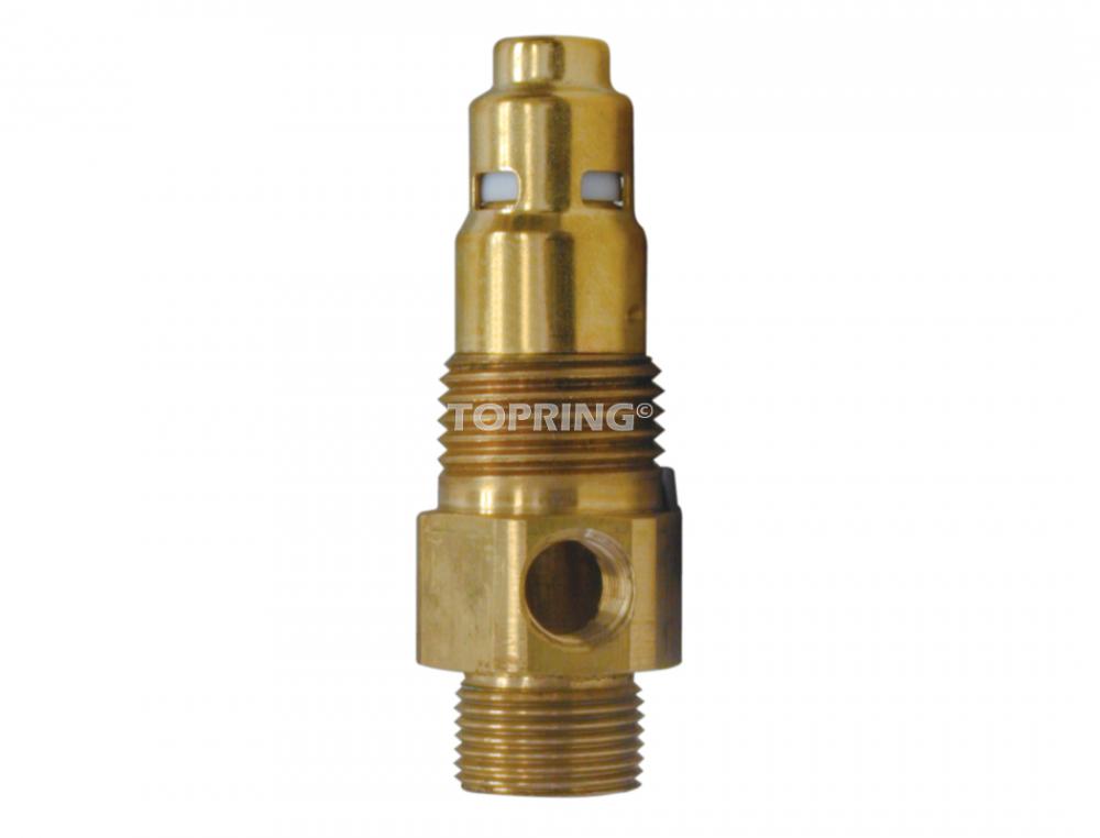 1/2 SAE Brass Compressor Tank Check Valve 1/2 (M) NPT<span class=' ItemWarning' style='display:block;'>Item is usually in stock, but we&#39;ll be in touch if there&#39;s a problem<br /></span>