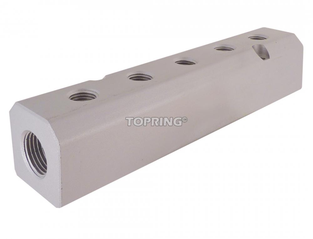 5 Port Aluminum Manifold 1/2 (F) NPT With 1/4 (F) NPT Outlet<span class=' ItemWarning' style='display:block;'>Item is usually in stock, but we&#39;ll be in touch if there&#39;s a problem<br /></span>