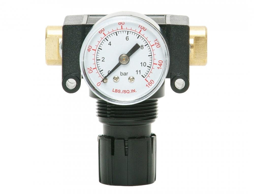 Acetal Regulator 0 to 125 PSI 1/4 (F) NPT S50<span class=' ItemWarning' style='display:block;'>Item is usually in stock, but we&#39;ll be in touch if there&#39;s a problem<br /></span>