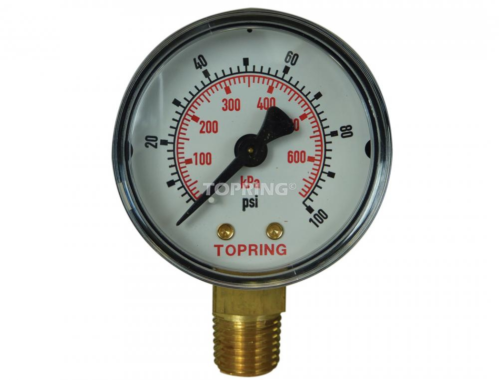 Gauge 2&#34; - 1/4NPT LM 0-100<span class=' ItemWarning' style='display:block;'>Item is usually in stock, but we&#39;ll be in touch if there&#39;s a problem<br /></span>