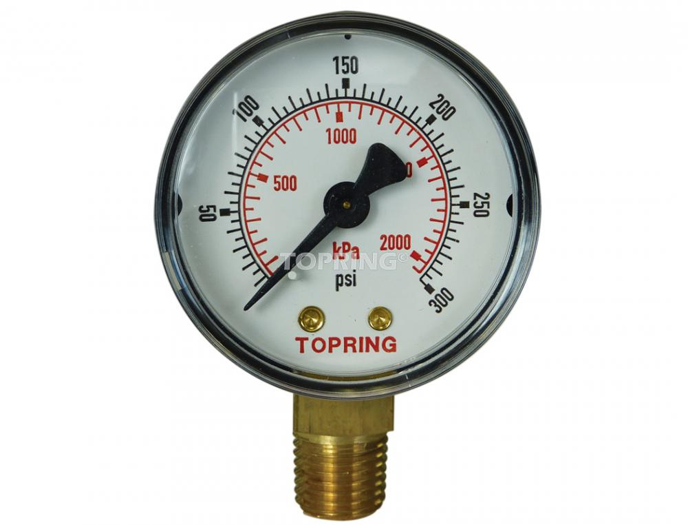 2 In. Steel Dry Gauge 0 to 300 PSI<span class=' ItemWarning' style='display:block;'>Item is usually in stock, but we&#39;ll be in touch if there&#39;s a problem<br /></span>