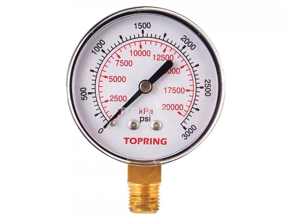 Gauge 2-1/2&#34; - 1/4NPT LM 0-3000<span class=' ItemWarning' style='display:block;'>Item is usually in stock, but we&#39;ll be in touch if there&#39;s a problem<br /></span>