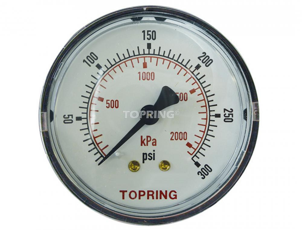 2 In. Steel Dry Gauge 0 to 300 PSI<span class=' ItemWarning' style='display:block;'>Item is usually in stock, but we&#39;ll be in touch if there&#39;s a problem<br /></span>