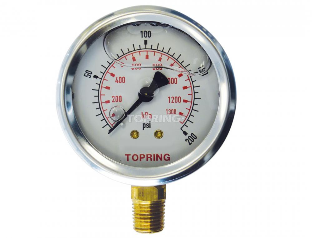 2-1/2 In. Stainless Steel Liquid Filled Pressure Gauge With Glycerin 0 to 200 PSI<span class=' ItemWarning' style='display:block;'>Item is usually in stock, but we&#39;ll be in touch if there&#39;s a problem<br /></span>