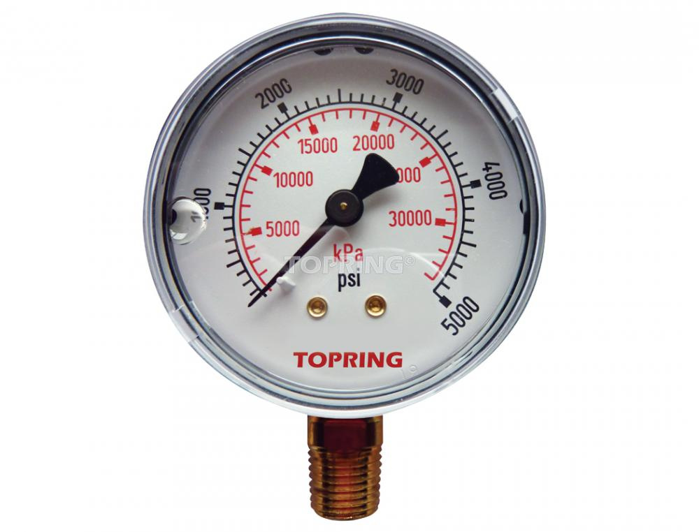 2-1/2 In. Stainless Steel Liquid Filled Pressure Gauge With Glycerin 0 to 5000 PSI<span class=' ItemWarning' style='display:block;'>Item is usually in stock, but we&#39;ll be in touch if there&#39;s a problem<br /></span>