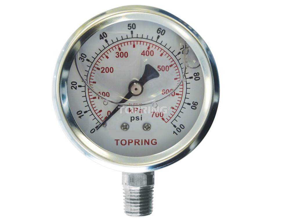 Liquid Gauge 4&#34; - 1/4NPT LM 0-100 SS<span class=' ItemWarning' style='display:block;'>Item is usually in stock, but we&#39;ll be in touch if there&#39;s a problem<br /></span>