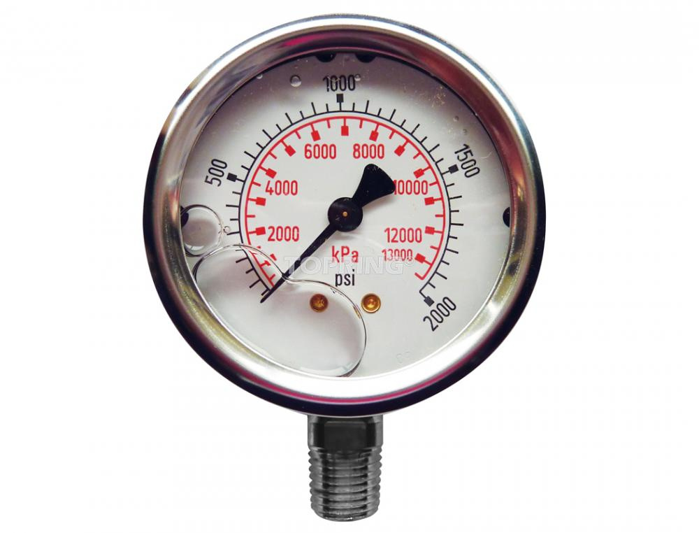 Liquid Gauge 2-1/2&#34; - 1/4NPT LM 0-2000 SS<span class=' ItemWarning' style='display:block;'>Item is usually in stock, but we&#39;ll be in touch if there&#39;s a problem<br /></span>