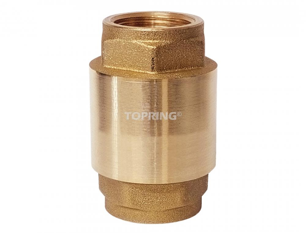 Brass Check Valve 2 (F) NPT<span class=' ItemWarning' style='display:block;'>Item is usually in stock, but we&#39;ll be in touch if there&#39;s a problem<br /></span>