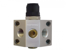 Topring 05.496 - 3 Port Aluminum Wall Manifold 3/8 (F) NPT for 22 mm S05