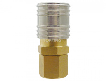 Topring 20.844.100 - 1/4 Industrial Brass Quick Coupler 1/4 (F) NPT