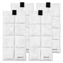 Ergodyne 12120 - 6250 Clear Lightweight Phase Change Cooling Packs 4-Pack