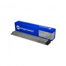 Platinum North America WC-1113010M15 - 6013 ELECTRODE