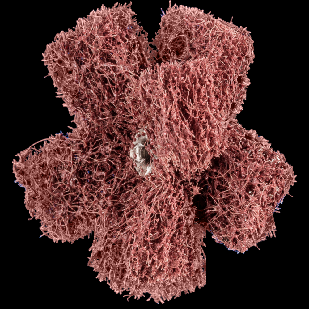 PFERD POLINOX® Cross Buff, 2&#34;, 2 Layers, 8-32 Thread, 80 Grit Coarse, Aluminum oxide<span class=' ItemWarning' style='display:block;'>Item is usually in stock, but we&#39;ll be in touch if there&#39;s a problem<br /></span>