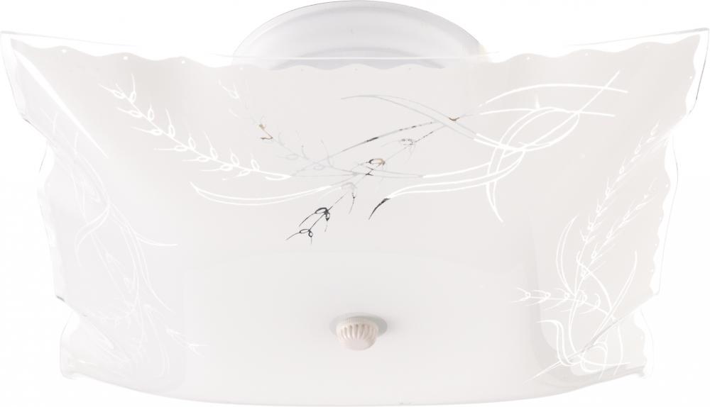 2 LIGHT 12&#34; CEILING FIXTURE<span class=' ItemWarning' style='display:block;'>Item is usually in stock, but we&#39;ll be in touch if there&#39;s a problem<br /></span>