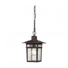 Nuvo 60/4955 - COVE NECK 1 LGT OUTDOOR HANG