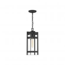 Nuvo 60/6574 - TOFINO 1 LT HANGING LANTERN