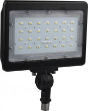 Nuvo 65/539 - LED 50W LARGE FLOOD LIGHT