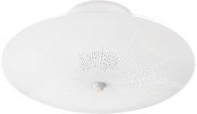 Nuvo SF76/269 - 2 LIGHT 12" CEILING FIXTURE