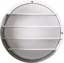 Nuvo SF77/861 - 1 LIGHT POLY ROUND CAGE WALL