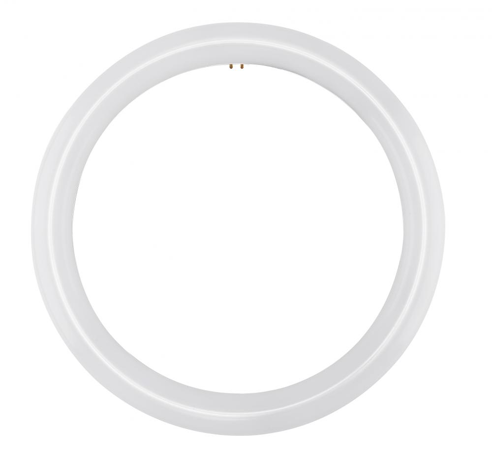 FC12T9/LED/CIR/840/BP<span class=' ItemWarning' style='display:block;'>Item is usually in stock, but we&#39;ll be in touch if there&#39;s a problem<br /></span>