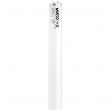 Satco S26570 - F25T12/CW/33