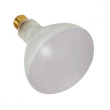 Satco S7004 - 300BR40/FL/12V POOL LAMP