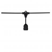 Satco S8039 - 24FT/SL/E26/BL/120V