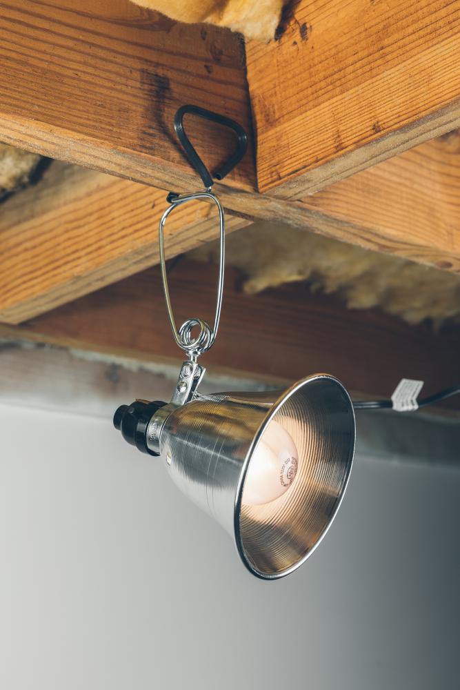 LIGHT- CLAMP WITH 6&#39; CORD 5.5&#34; REFLECTOR<span class=' ItemWarning' style='display:block;'>Item is usually in stock, but we&#39;ll be in touch if there&#39;s a problem<br /></span>