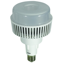 Southwire 111980L - LONG NECK LED LAMP 80W- 5000K- CUL