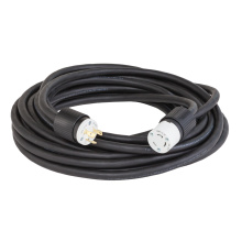Southwire 1035 - CORD- 10/3 50' SOW CORD W/ 30A 250V
